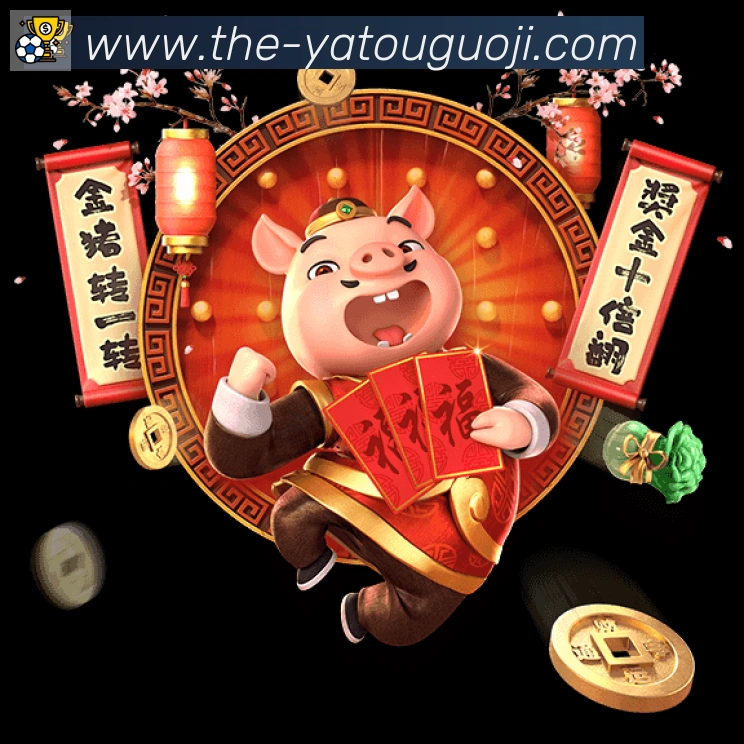 未来规划